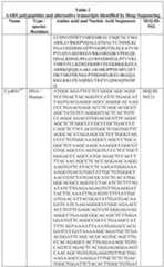 Figure imgf000035_0001