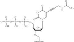 Figure US12215122-20250204-C00488