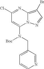 Figure US07119200-20061010-C01593