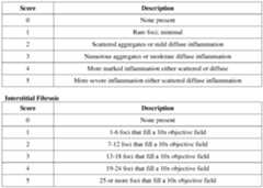 Figure imgf000073_0001