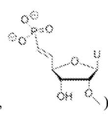 Figure imgf000211_0002