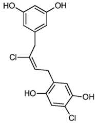 Figure imgf000064_0001