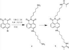 Figure BDA0000113256800000061