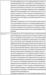 Figure BDA0002742983620000381