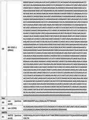 Figure imgf000048_0001