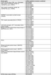 Figure imgf000046_0001