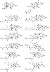 Figure FDA0002889616210000161