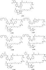 Figure BPA00001476434901041