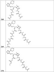 Figure BDA0002268634580003021