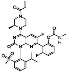 Figure BDA0002861043520000951