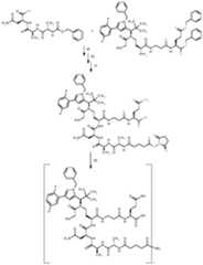 Figure imgf000255_0001