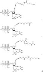 Figure BDA0003670511740001751