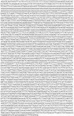 Figure BDA0002508391090001531