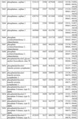 Figure imgf000435_0001