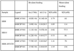 Figure imgf000112_0001