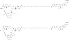 Figure US12048749-20240730-C00242