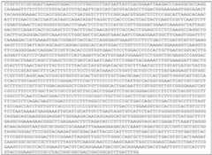 Figure imgf000097_0002