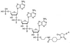 Figure imgf000158_0001