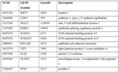 Figure imgf000170_0001