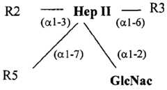 Figure imgf000005_0001