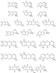 Figure imgf000024_0001