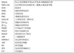 Figure BDA0003169769230000451