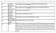 Figure imgf000033_0001