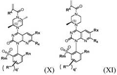 Figure BDA0002861043520000102