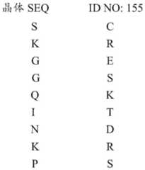 Figure BDA0002785795260001641