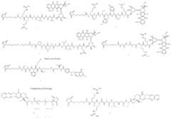 Figure imgf000064_0001