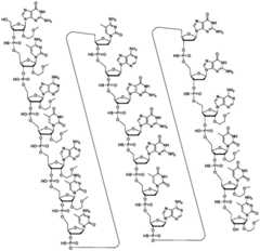 Figure FDA0003319162440000151