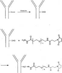 Figure imgf000063_0001