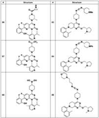 Figure imgf000060_0001