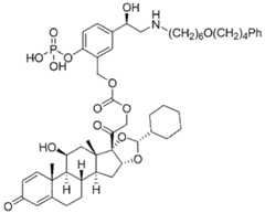 Figure imgf000091_0001
