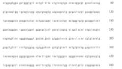 Figure 108123466-A0305-02-0587-555