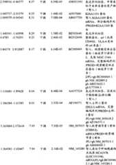 Figure BPA00001280678300901