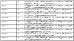 Figure imgf000011_0001