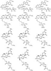 Figure imgf000067_0001