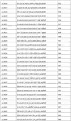 Figure BDA0002356059890001971