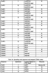 Figure imgf000019_0001