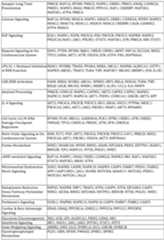 Figure imgf000228_0001