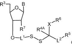 Figure imgf000090_0001