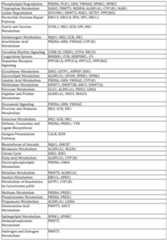 Figure imgf000229_0001