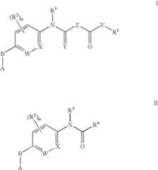 Figure US07714138-20100511-C00004