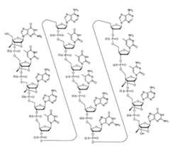 Figure 0007422816000020