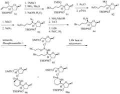 Figure imgf000078_0001