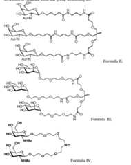 Figure imgf000079_0001