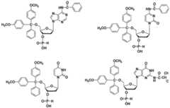 Figure imgf000049_0001