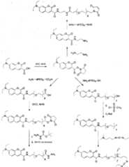 Figure imgf000050_0001