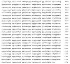 Figure 108128641-A0202-12-0356-776